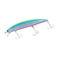 Amazon | ダイワ フラットジャンキー ヒラメハンターZ SD 125S